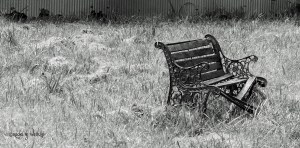 abandonedbench
