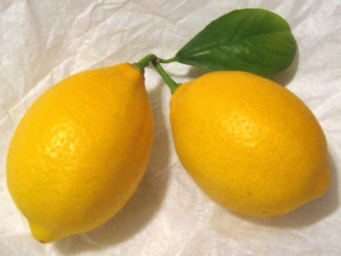 meyerlemons