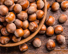Hazelnuts.png